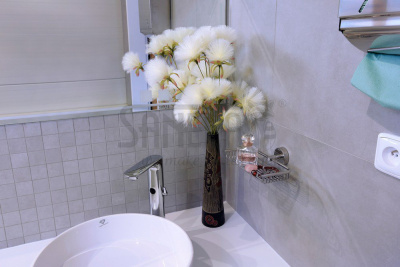 Нержавеющая мыльница SLZD 19 арт: 62190 Sanela Чехия (фото, схема)